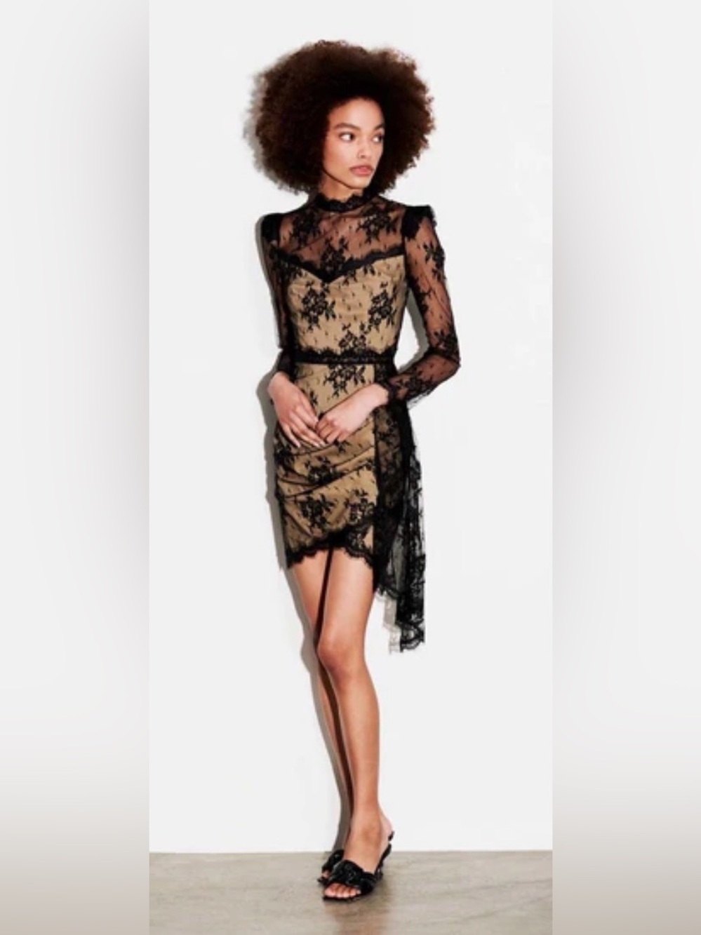NWT SAYLOR NYC Kelley Black Lace Mini Dress Nude Lining Size S